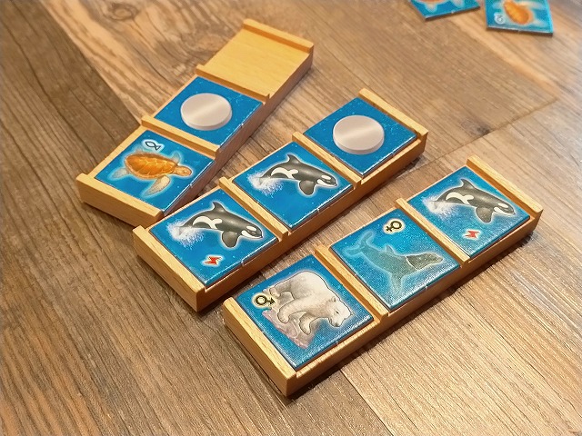 水族館を作るボードゲーム「アクアレット」レビュー